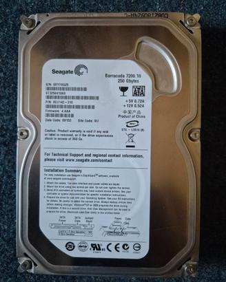 HDD SATA Seagate 250GB - perfetto -