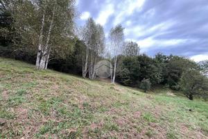 TER. AGRICOLO A VARISELLA