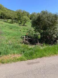 Terreno agricolo