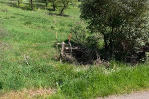 Terreno agricolo