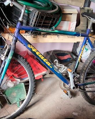 mountainbike