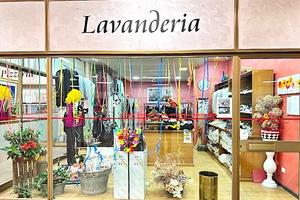 Teorema Aziende LAVANDERIA in CUNEO (CN)