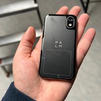 PALM PHONE PVG100 VERSIONE ITALIANA