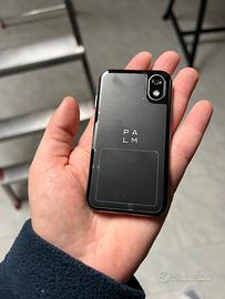 PALM PHONE PVG100 VERSIONE ITALIANA