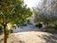Immagine 7