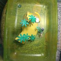 Vasca e riscaldatore tartarughe d'acqua dolce