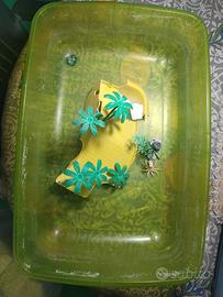 Vasca e riscaldatore tartarughe d'acqua dolce