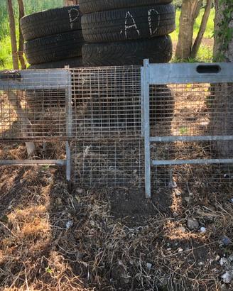 Gabbie per pulcini e conigli