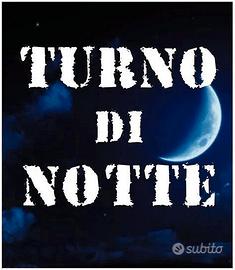 Guardiano Sicurezza Anche notte