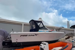 Barca usata da pesca Proline + Mercury