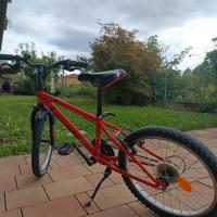Bici da bambino