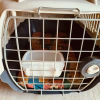 Trasportino per gatti  e cani piccola taglia