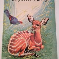 Libro "Il piccolo Bongo" - ed. Girotondo - 1966