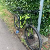 Trek remedy 7