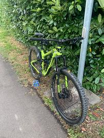 Trek remedy 7