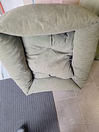 cuccia grande