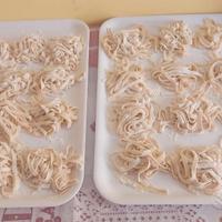 Collaboratrice domestica cuoca gastronoma per bar