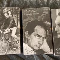 Italo Calvino Romanzi e racconti