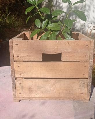 💥💥 CASSA VINTAGE 