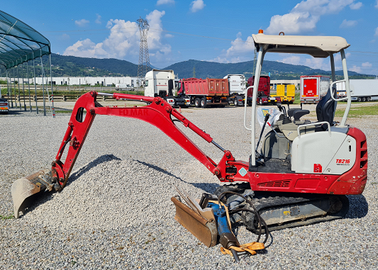 Miniescavatore Takeuchi TB216 18qli con Martello