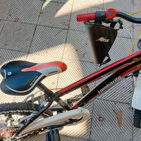 Bicicletta MTB misura 20