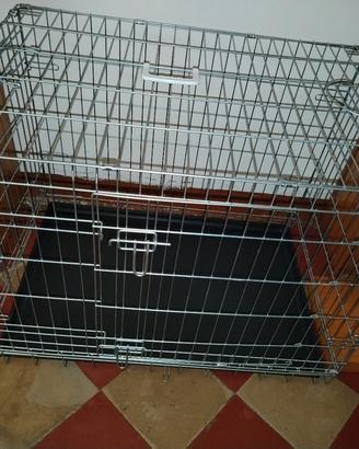 box per i cani