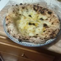 alfa forni modello One a gas