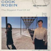 cock robin - the biggest fool of all 12''