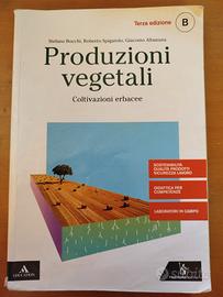 Produzioni vegetali B
