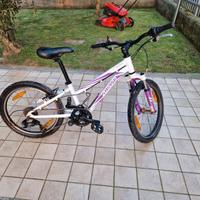 Specialized hot rock telaio alluminio 20 pollici
