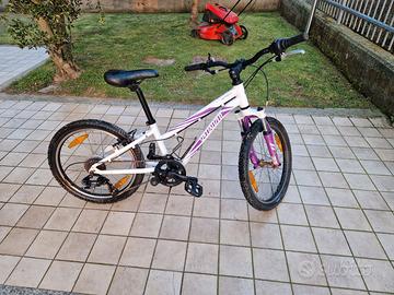 Specialized hot rock telaio alluminio 20 pollici