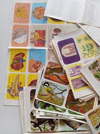 Lotto 93 tavole enciclopedia di Topolino 1960/63