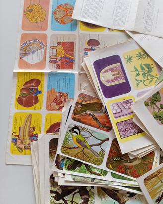 Lotto 93 tavole enciclopedia di Topolino 1960/63