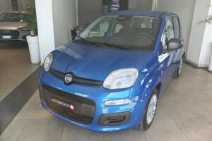 FIAT Pandina 1.0 FireFly 65cv S&S 6m Hybrid Icon