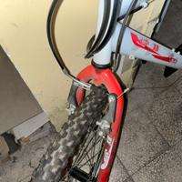 Bicicletta mountain bike