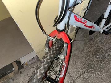 Bicicletta mountain bike