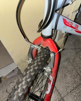 Bicicletta mountain bike