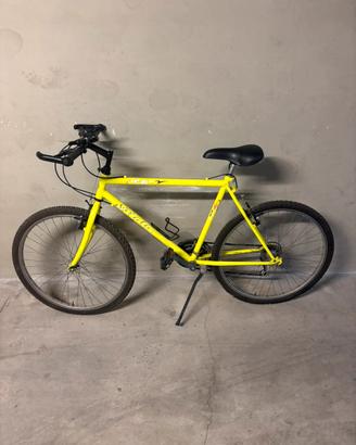 Bicicletta