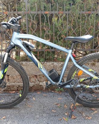 Bicicletta elettrice (E-Bike)