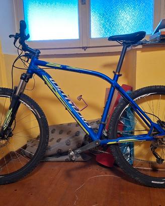 Bici Mtb specialized