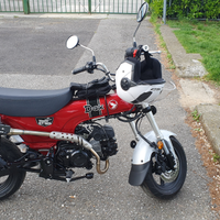 Dax Honda st 125 2024