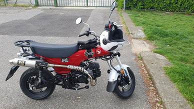 Dax Honda st 125 2024