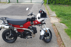 Dax Honda st 125 2024