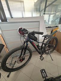 BICI OLYMPIA PERFORMER 900 SPORT LIMITED EDITION