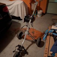 Carrello da golf pieghevole