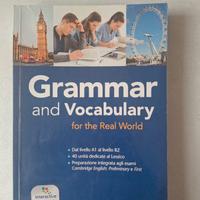 grammar & vocabulary for the real world