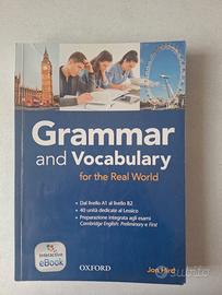 grammar & vocabulary for the real world
