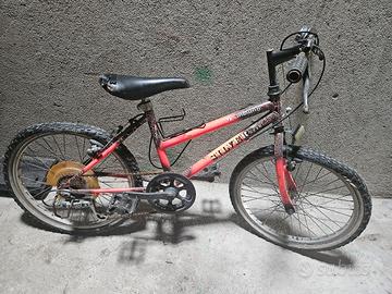 Mountain Bike Ragazzo 20" Silver Star