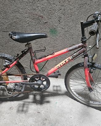 Mountain Bike Ragazzo 20" Silver Star
