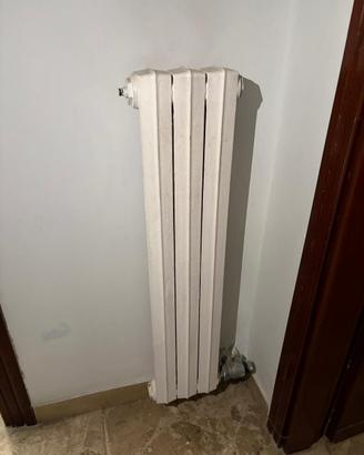 Radiatori in ghisa